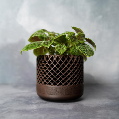 Maceta de celosía de 12 cm con drenaje | Maceta moderna con textura | LeHa Designs | Maceta para suculentas y plantas de interior