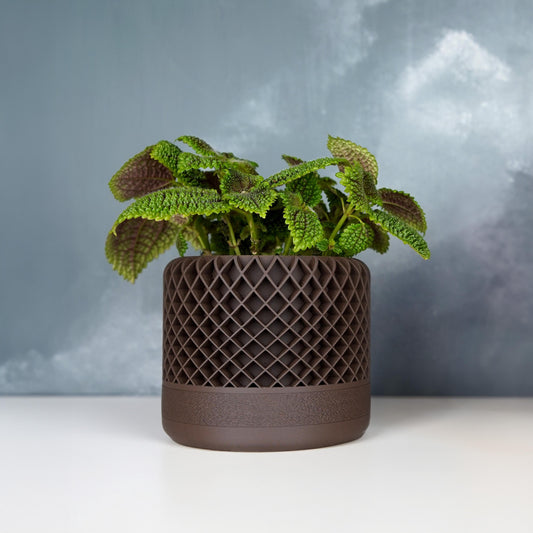 Maceta de celosía de 12 cm con drenaje | Maceta moderna con textura | LeHa Designs | Maceta para suculentas y plantas de interior