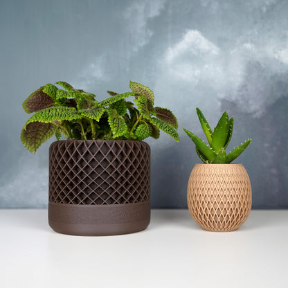 Maceta de celosía de 12 cm con drenaje | Maceta moderna con textura | LeHa Designs | Maceta para suculentas y plantas de interior