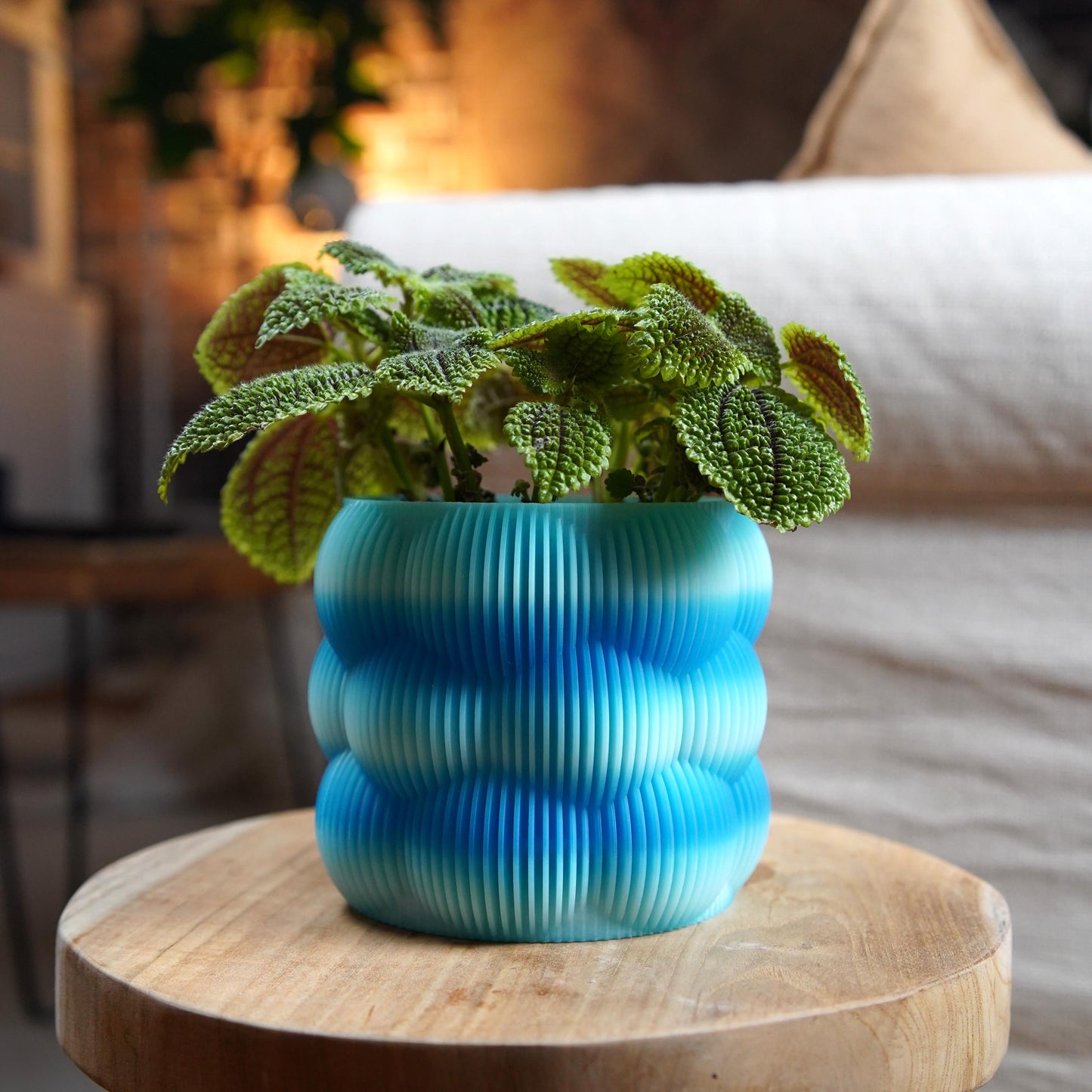 Maceta de burbujas de 12 cm | Maceta minimalista moderna | LeHa Designs | Maceta de interior bonita | Maceta para suculentas y plantas de interior