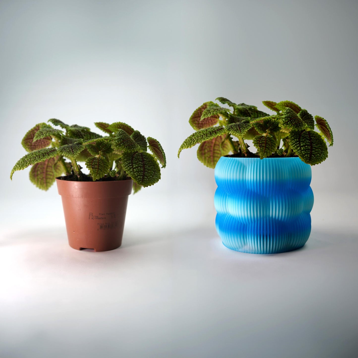 Maceta de burbujas de 12 cm | Maceta minimalista moderna | LeHa Designs | Maceta de interior bonita | Maceta para suculentas y plantas de interior