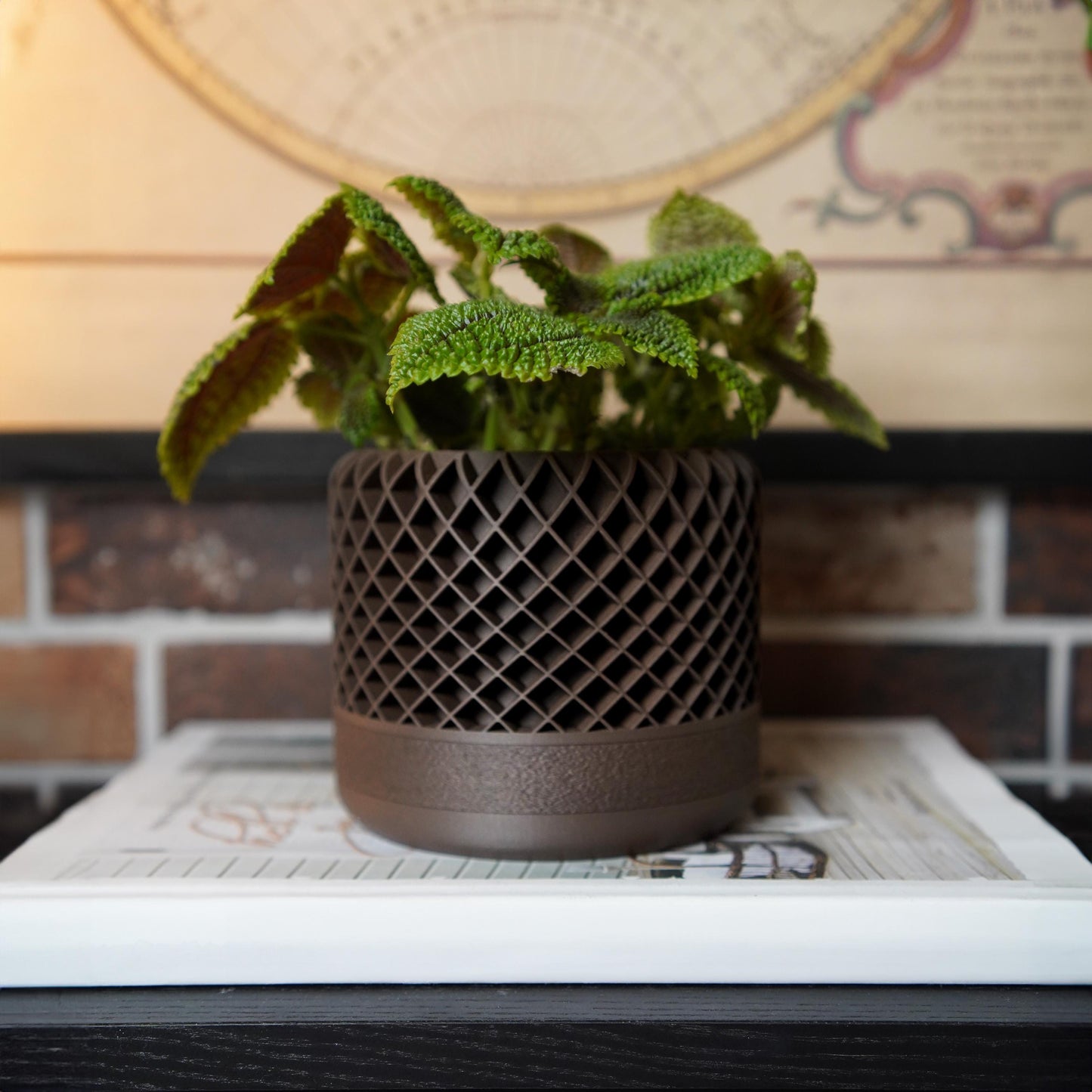 Maceta de celosía de 12 cm con drenaje | Maceta moderna con textura | LeHa Designs | Maceta para suculentas y plantas de interior